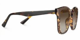Siner Tortoise Square Sunglasses2