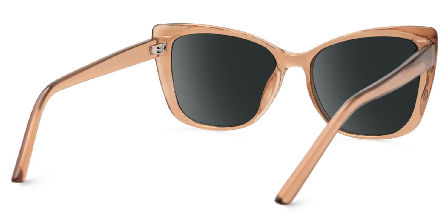 Farris Cat Eye Brown Frame Sunglasses Online Sale | ZEELOOL3