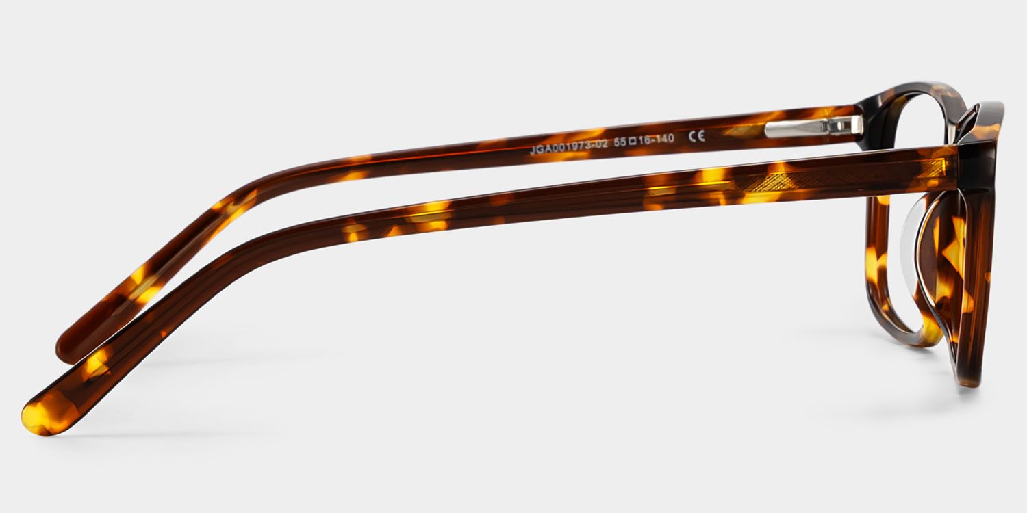 Connie Brown Rectangle Acetate Frame Glasses for Men | ZEELOOL4