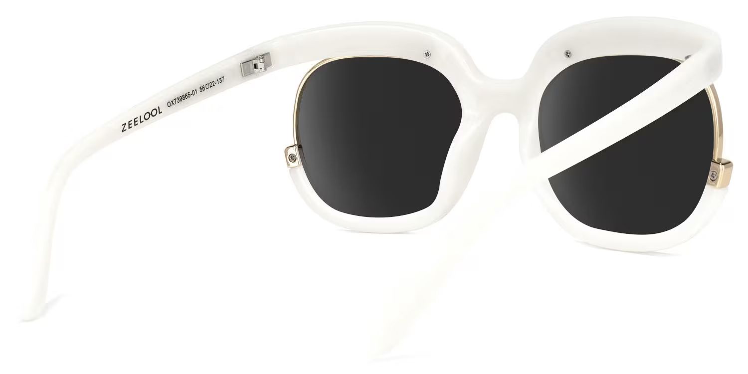 Alberta Plastic Clear Frame Sunglasses | ZEELOOL3