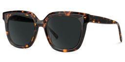 Lark Tortoise Square Sunglasses2