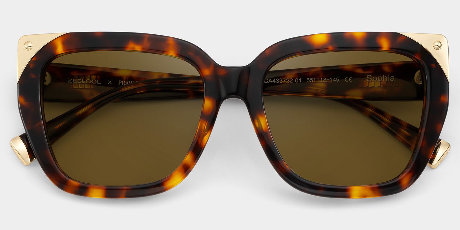 Sophia Acetate Tortoise Frame Sunglasses | ZEELOOL2