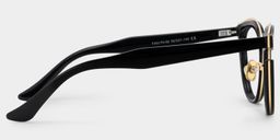Laraine Black Cat eye Glasses3