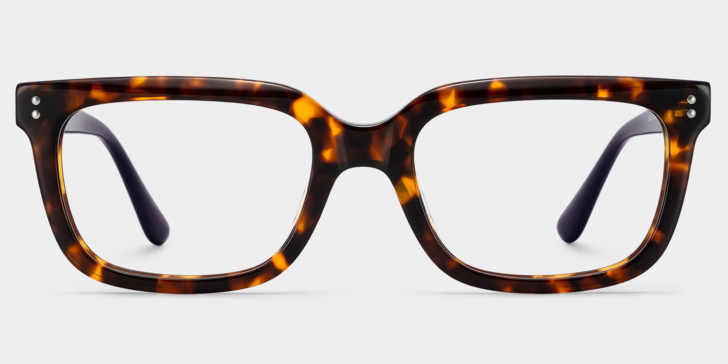 Fern Tortoise Rectangle Frame Glasses for Men | ZEELOOL1