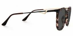 Chanty Tortoise Round Sunglasses2