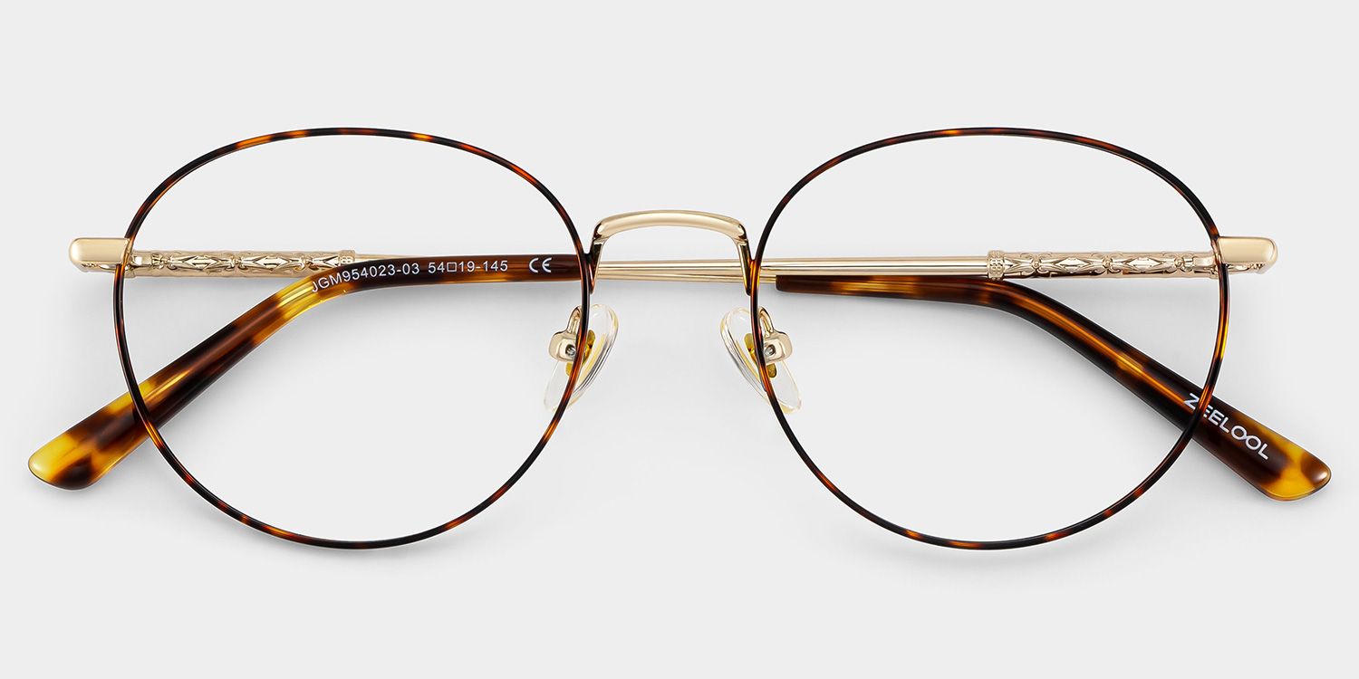 Ian Tortoise Frame Glasses with Round Frame Online | ZEELOOL2