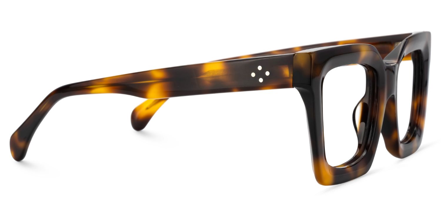 Designer Tortoise Shell Eyeglasses For Men4