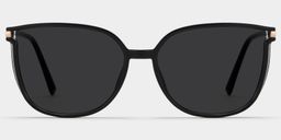 Rodz Black Square Sunglasses0