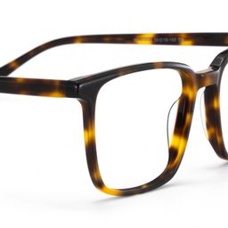 Aidan Tortoise Rectangle Glasses5