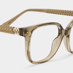 Clara Clear Brown Cat eye Glasses5