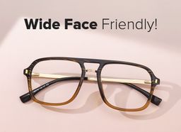 Kilworth Brown Aviator Glasses5