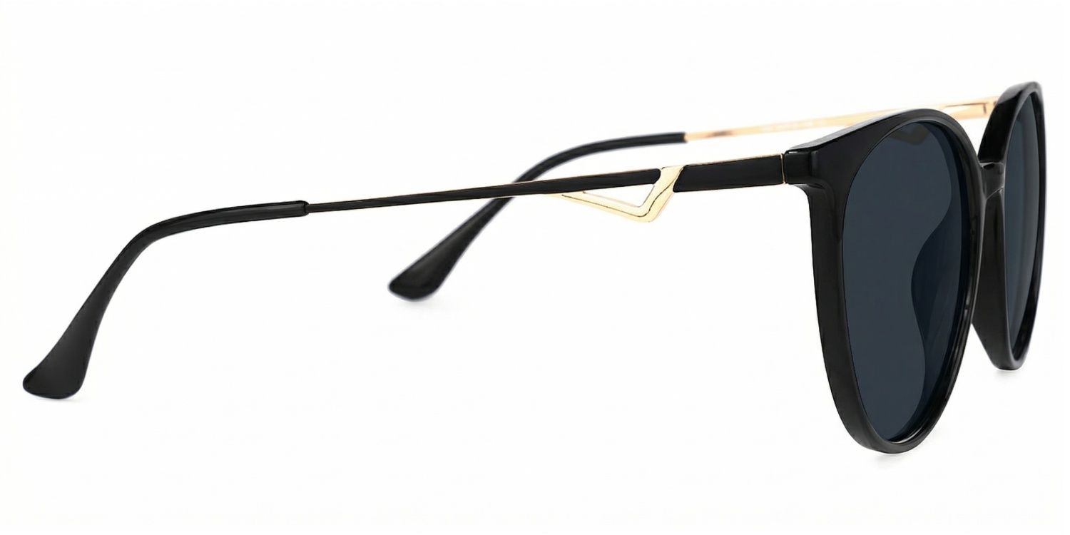 Chanty Round Style Black Frame Sunglasses | ZEELOOL2