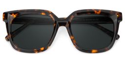 Lark Tortoise Square Sunglasses1