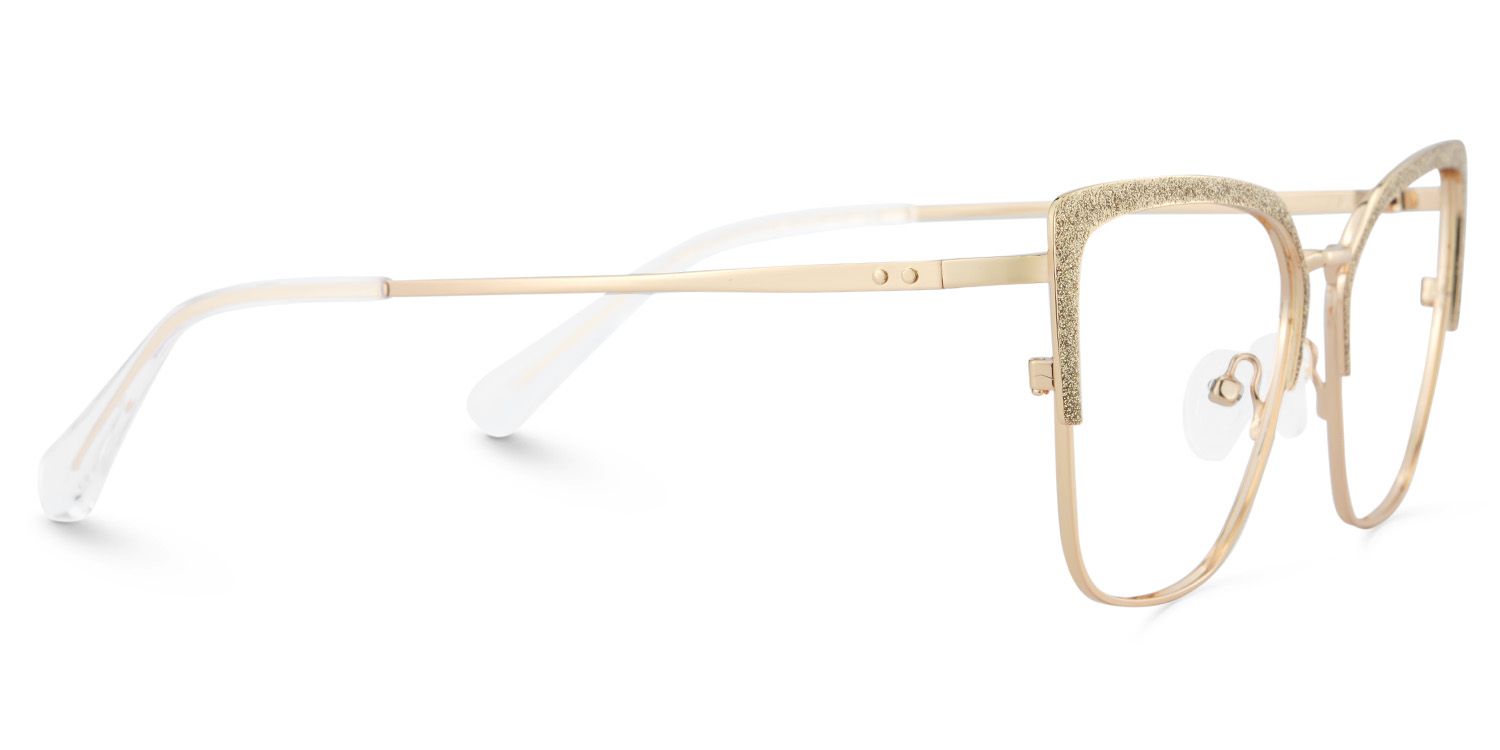 Rectangular Shape Eyeglasses Frames3