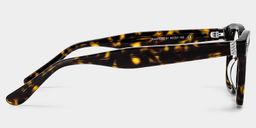 Pierce Tortoise Round Glasses4