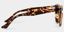 Laraine Tortoise Cat eye Sunglasses3