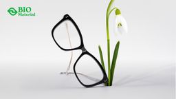 Arthur Geometric Brown Glasses0