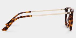 Finch Tortoise Rectangle Glasses4