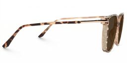 Rodz Tortoise Square Sunglasses2