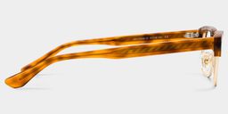 Eden Tortoise Browline Glasses3