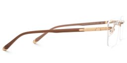 Savitrie Brown Rectangle Glasses2