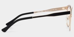 Wren Black-Gold Browline Glasses5