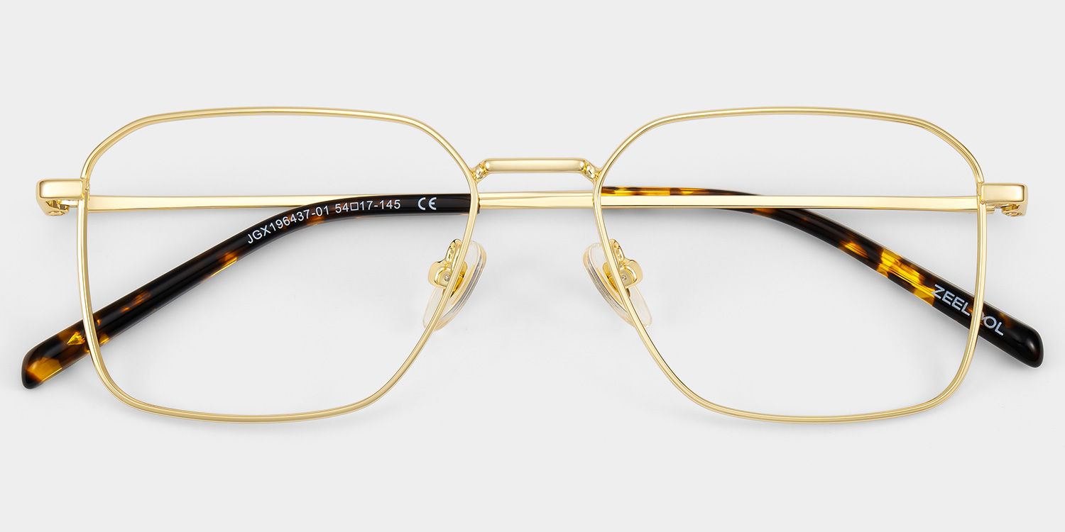Leah Gold Frame Rectangular Glasses in Metal Frames for Men | ZEELOOL2
