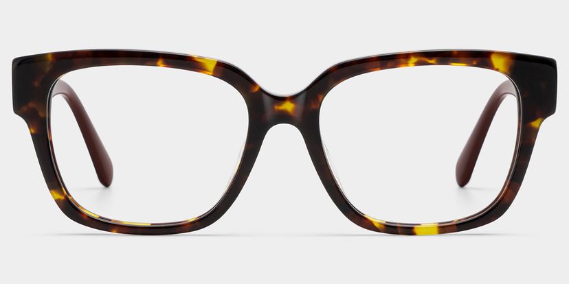 Blake Tortoise Square Glasses