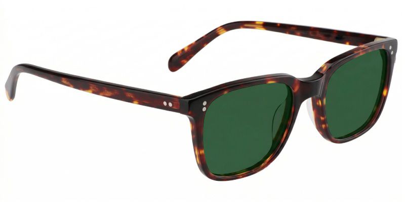 Lamont Tortoise Rectangle Polarized Sunglasses for Driving | ZEELOOL3