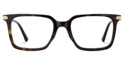 Goveo Tortoise Rectangle Glasses1