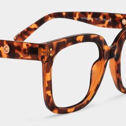Ebony Tortoise Square Glasses5