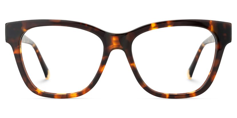 Julian Tortoise Square Glasses