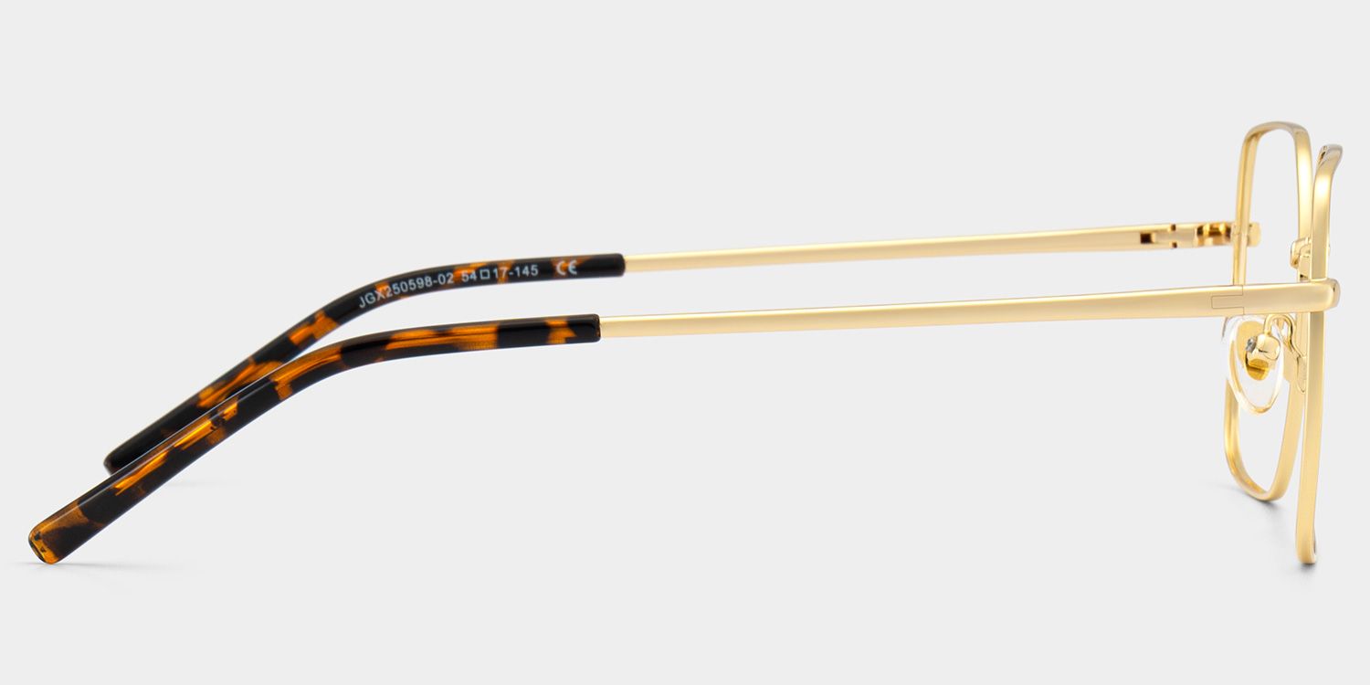 Abigail Tortoise Shell Glasses with Gold Arms for Women in Daily | ZEELOOL4