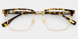 Audrey Tortoise Browline Glasses3