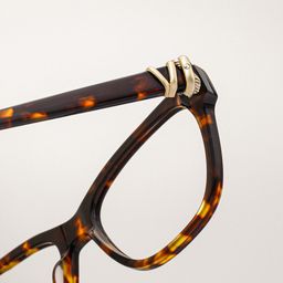 Julian Tortoise Square Glasses4