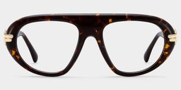 Aveline Tortoise Aviator Glasses1