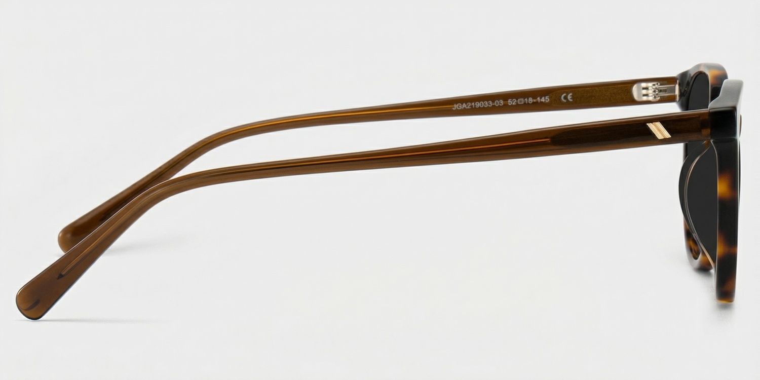 Allison Acetate Tortoise Round Frame Sunglasses | ZEELOOL3