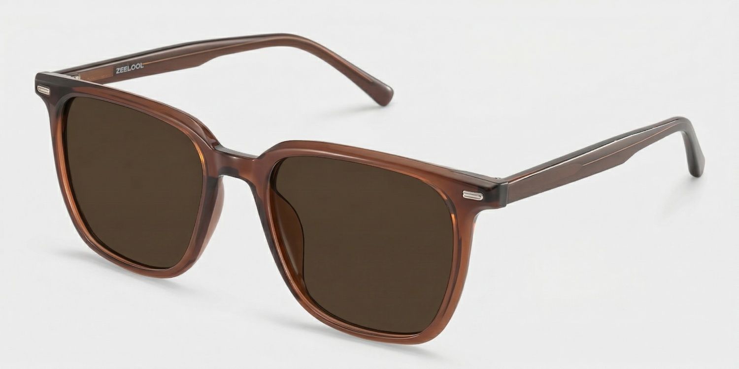Eliza Square Dark Brown Frame Sunglasses Online Sale | ZEELOOL2