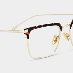 Addison Tortoise Browline Glasses5