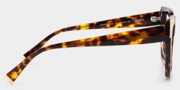 Sophia Tortoise Cat eye Glasses4