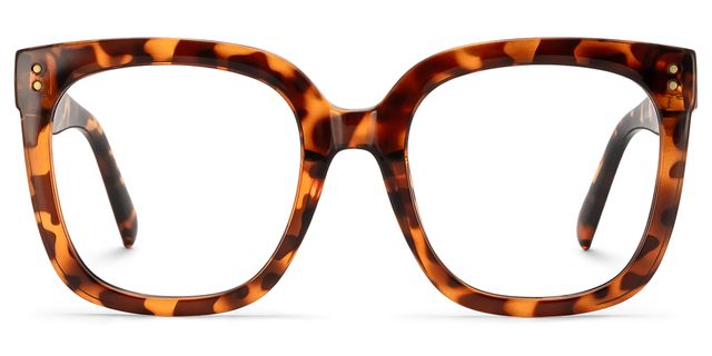 Ebony Tortoise Square Glasses