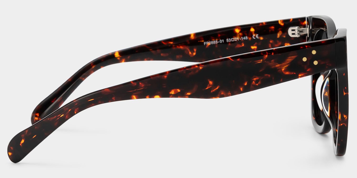 Gordon Acetate Tortoise Frame Sunglasses | ZEELOOL3