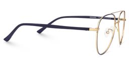 Paige Blue-Gold Aviator Glasses5