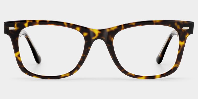Robert Tortoise Rectangle Glasses