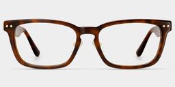 Buzz Tortoise Rectangle Glasses1