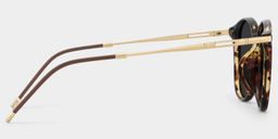 Greene Tortoise Square Sunglasses3
