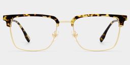 Audrey Tortoise Browline Glasses2