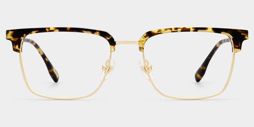 Audrey Tortoise Browline Glasses