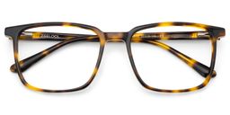 Aidan Tortoise Rectangle Glasses2