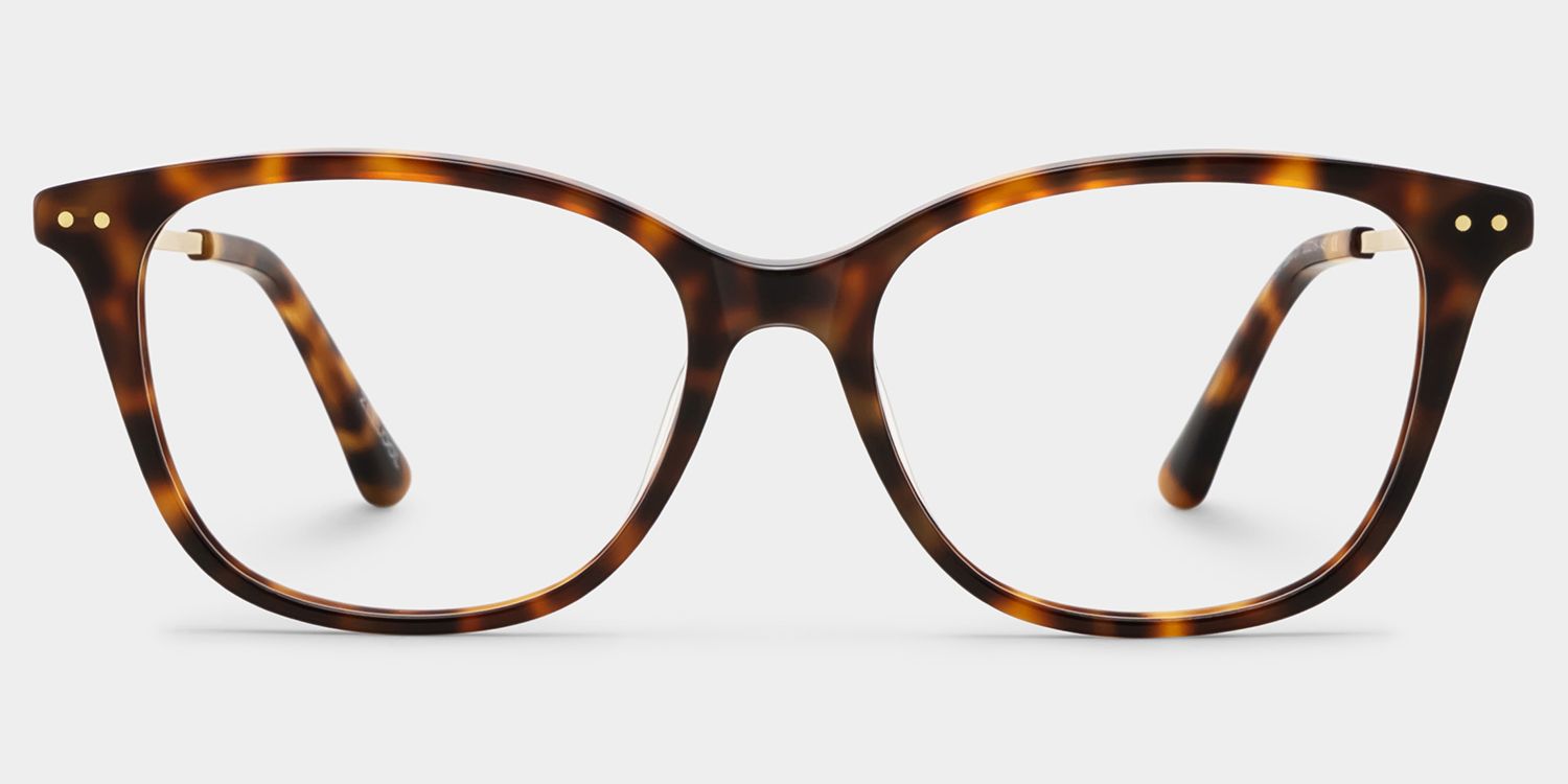 Finch Tortoise Rectangle Glasses | Retro Varsity Minimal1
